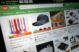 Chinese online retailer in Temu in hot water as Vietnam halts trading