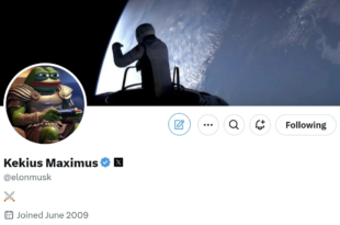 Elon Musk changes his name to ?Kekius Maximus? on X