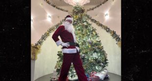 Elon Musk shows off fresh weight loss in slim Santa photo