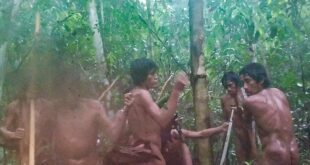 First ever photograph of uncontacted Massaco people in Brazil