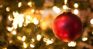 German garden centres celebrate after Christmas-themed legal win