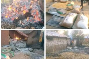 Gunmen attack Gombe community, k!ll cleric and set houses ablaze