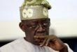 I don?t have any regret removing petrol subsidy - Tinubu