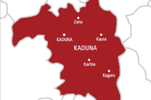 Kidnappers slash ransom for abducted Kaduna children to N25m