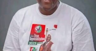 Many Labour Party Reps are considering defecting to APC - Delta federal lawmaker