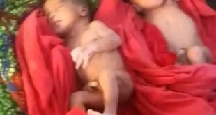 Mentally ill woman gives birth to twins along road in Benue