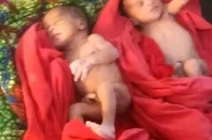 Mentally ill woman gives birth to twins along road in Benue