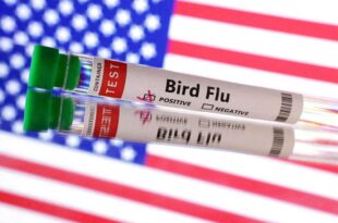 Mutated Bird Flu virus raises concern after being found in US patient