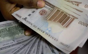 Naira plummets to ?1745/$1 as traders blame speculators