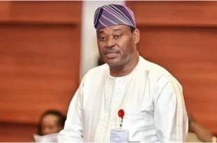 Nigerian Govt should tax luxury and rich people to shore up economy ? Jimoh Ibrahim