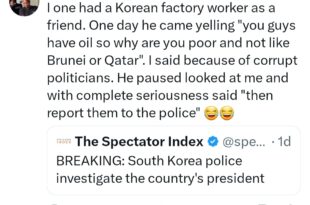 Nigerian woman shares suggestion her South Korean colleague gave for dealing with corrupt politicians in Nigeria