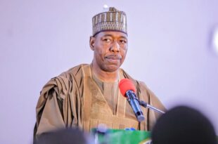 Only Lagos and Rivers will benefit from Tinubu?s tax reform bills ? Governor Zulum