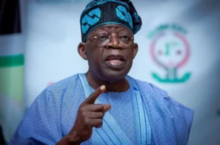 People may not like us but things are changing in our country today - Tinubu