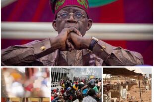 President Tinubu cancels Lagos engagements in honor of food stampede victims