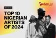 Pulse Fan Faves: Top 10 Nigerian Artists of 2024