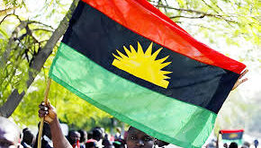 Return home, we will protect you - IPOB tells Igbos in diaspora