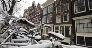 Squeezed out of the market: Why is renting hard in the Netherlands?