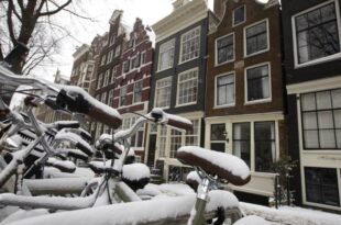 Squeezed out of the market: Why is renting hard in the Netherlands?