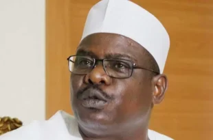 Tax reform bills: North is an asset, not liability to Nigeria ? Ndume