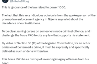 'This is ignorance of the law raised to power 1000' - Lawyer, Inibehe Effiong, tackles Police PRO, Adejobi, for saying cursing someone online is criminal offence,