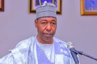 Those profiting from Boko Haram insurgency don?t want it to end ? Governor Zulum