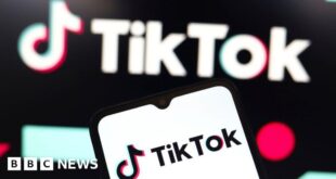 TikTok asks for emergency pause to looming US ban