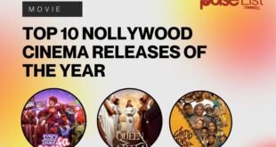 Top 10 Nollywood cinema releases of the year