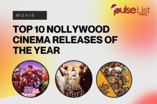 Top 10 Nollywood cinema releases of the year