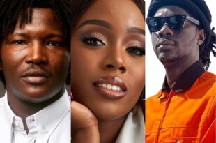 Top ten players in the Nigerian music tech industry in 2024