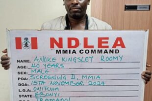 Turkey-based Nigerian man sentenced to one year imprisonment for drug trafficking