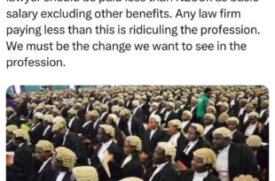 With the current situation of things in Nigeria, no lawyer should be paid less than N250k as basic salary - Deji Adeyanju