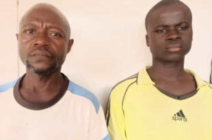 Adamawa state police command arrests two for allegedly r@ping two minors