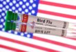 America's first bird flu de@th reported in Louisiana