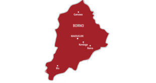 Borno CJTF member arrested for supplying food to Boko Haram