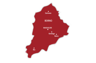 Borno CJTF member arrested for supplying food to Boko Haram