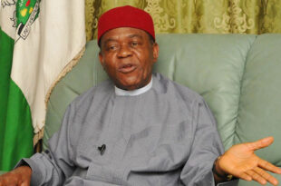 Court orders interim forfeiture of N228m allegedly linked to former Abia Governor Theodore Orji