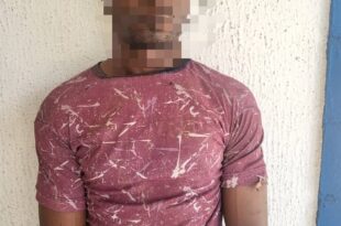 Delta resident st@bs man to d3ath for allegedly assaulting his mother