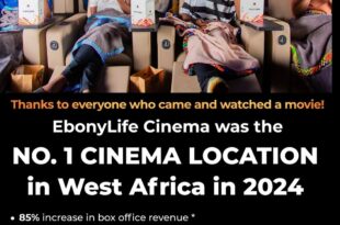 EbonyLife Cinemas grossed about ₦1 billion in 2024 | Pulse Nigeria