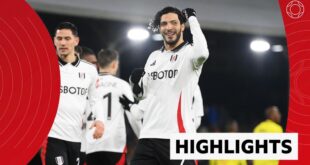 Fulham's Raul Jimenez celebrates his goal against Watford