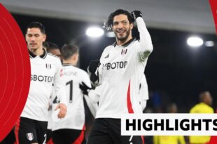 Fulham's Raul Jimenez celebrates his goal against Watford