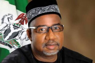 Focus on your state, Presidency slams Bala Mohammed after he said Tinubu is not listening to the people