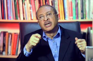 Government has repeatedly treated Nigerian youths like Idi0ts - Pat Utomi