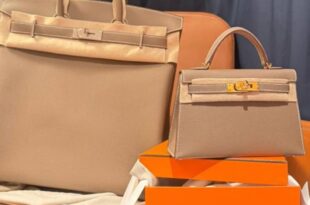 Happy wife, happy life - Davido writes as he shows off new Hermes bags for him and his wife, Mrs Chioma Adeleke