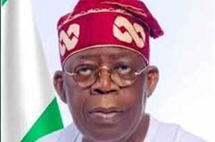 ?I asked for this job. I know what it takes? - President Tinubu