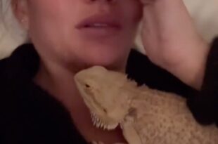 John Legend and wife Chrissy Teigen take refuge from LA wildfires in a hotel with their four kids, four dogs and pet bearded dragon