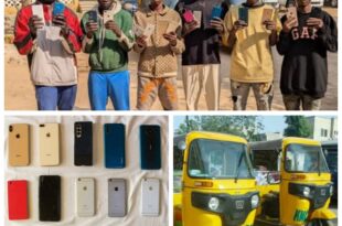 Kano police arrest six notorious phone thieves disguising as tricycle riders