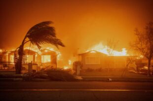 Los Angeles wildfires: Five k!lled as wildfire sweeps through California (photos)