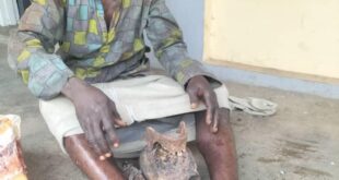 Man apprehended with human skull in Ogun