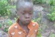 Missing eight-year-old boy survives five days in lion-inhabited game park