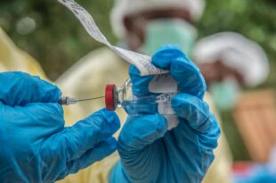 Nigeria not at risk of new Coronavirus - Minister of health insists